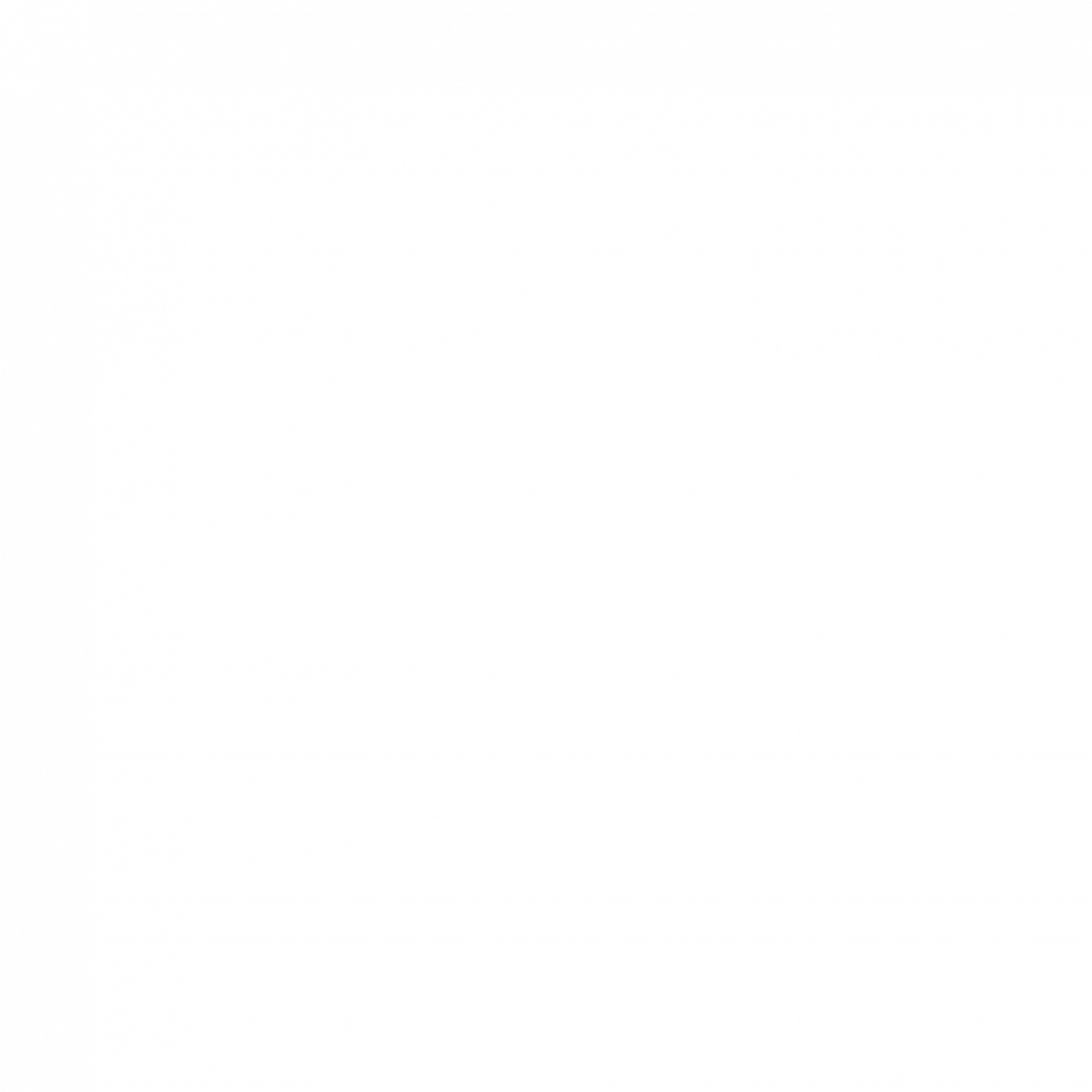 “Castiglioncelli” Olio E.V.O. Biologico 2025 | 3 L